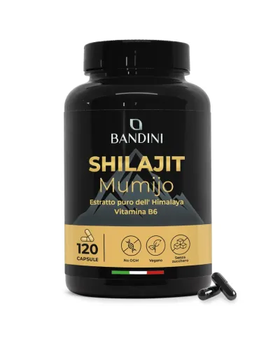 Shilajit - 120 capsule